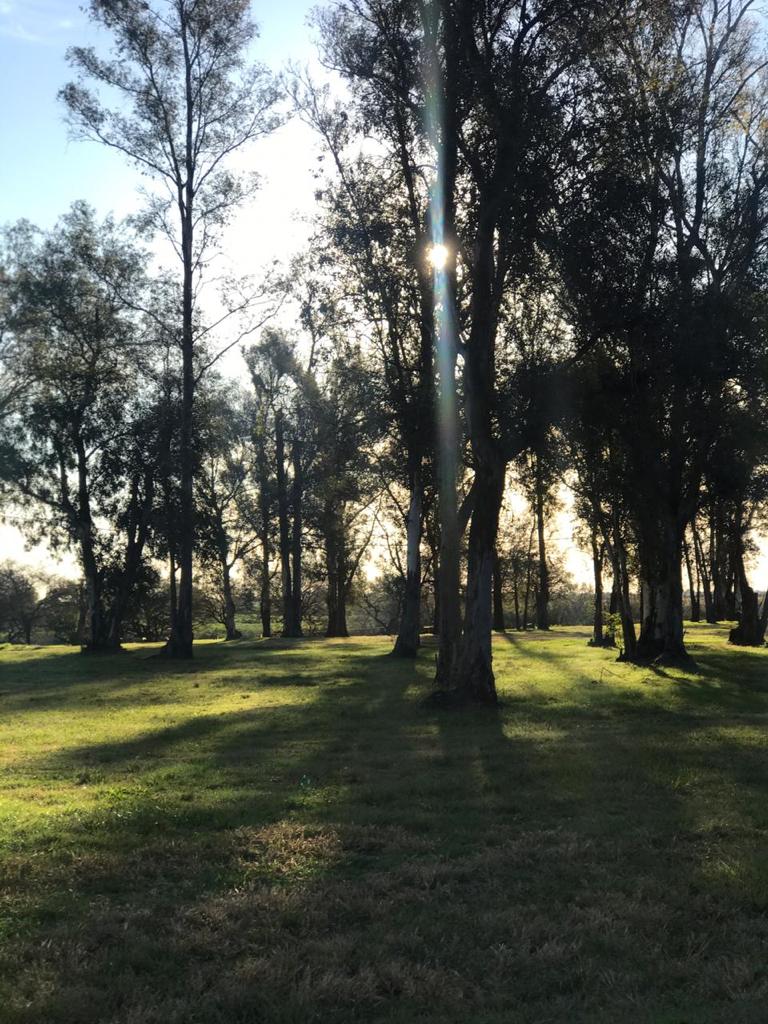 Chacras del Rincón