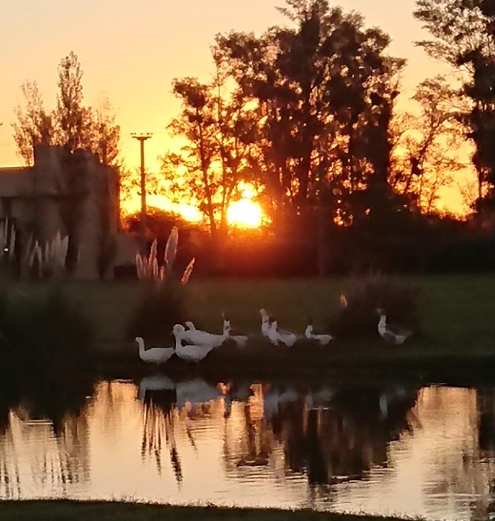 Chacras del Rincón