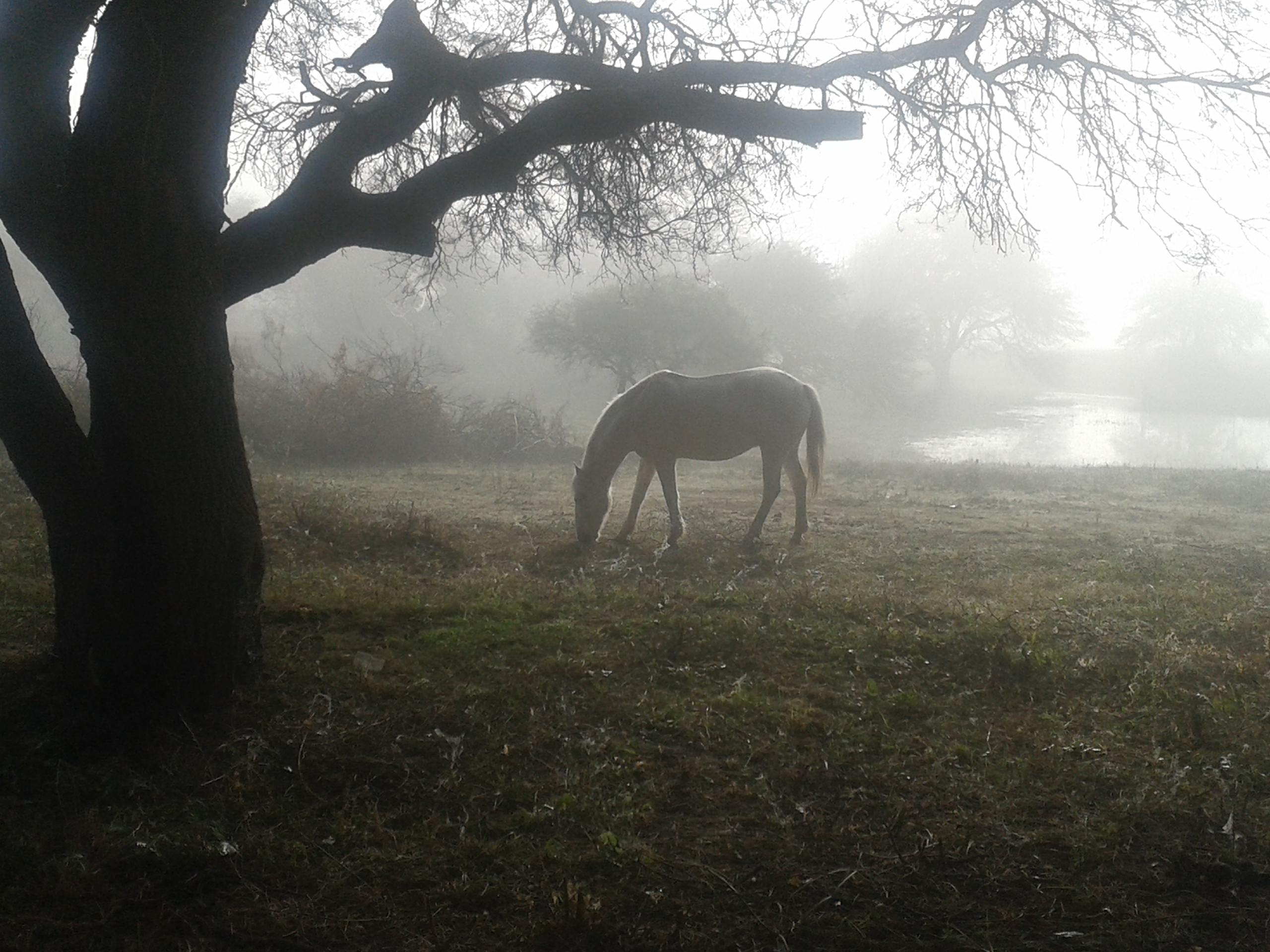 Chacras del Rincón